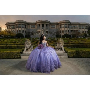 Sleeveless Lilac Quinceanera Dresses V Neck Lace Appliques 15 Dress