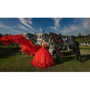 Sleeveless Red Quinceanera Dresses Sweetheart Neck 15 Dress With 3D Flowers