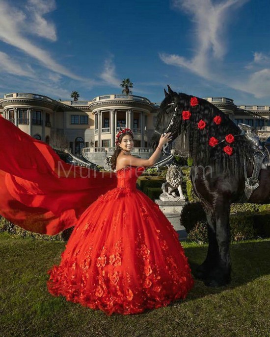 Sleeveless Red Quinceanera Dresses Sweetheart Neck 15 Dress With 3D Flowers