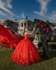 Sleeveless Red Quinceanera Dresses Sweetheart Neck 15 Dress With 3D Flowers