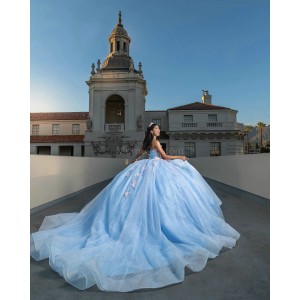 Sleeveless Sky Blue Quinceanera Dresses Sweetheart Neck Lace Appliques 15 Dress