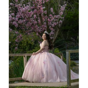 Spaghetti Strap Pink Quinceanera Dresses Sweetheart Neck 15 Dress With 3D Flowers