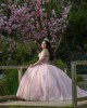 Spaghetti Strap Pink Quinceanera Dresses Sweetheart Neck 15 Dress With 3D Flowers