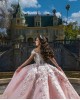 Sweetheart Neck Pink Quinceanera Dresses Off Shoulder 15 Dress With 3D Flowers