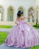 Off Shoulder Pink Quinceanera Dress Sweetheart Neck 3D Flowers 15 Dresses With Bow