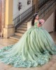 Off Shoulder Sage Green Quinceanera Dress Sweetheart Neck 3D Flowers 15 Dresses