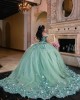 Off Shoulder Sage Green Quinceanera Dress Sweetheart Neck 3D Flowers 15 Dresses