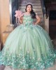 Off Shoulder Sage Green Quinceanera Dress Sweetheart Neck 3D Flowers 15 Dresses