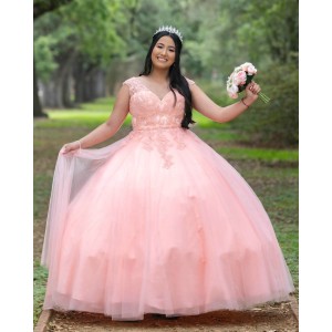 Pink Sleeveless Quinceanera Dress Lace Appliques V Neck 15 Dresses