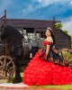 Ruffled Red Quinceanera Dress Lace Appliques Off Shoulder 15 Dresses