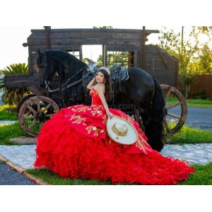 Ruffled Red Quinceanera Dress Sleeveless Sweetheart Neck 15 Dresses