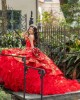 Ruffled Red Quinceanera Dress Sleeveless Sweetheart Neck 15 Dresses