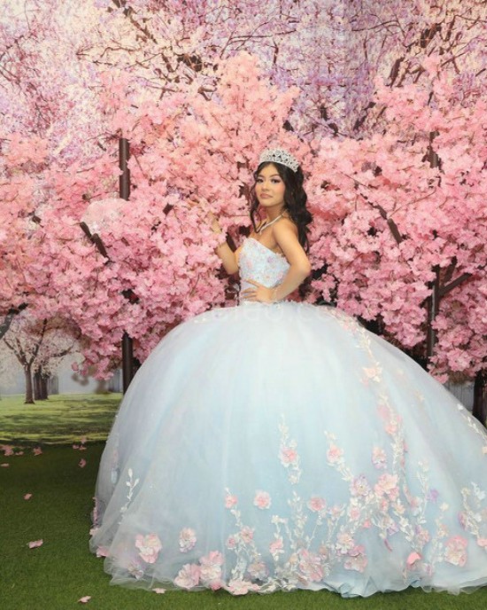 Sky Blue Quinceanera Dress Sleeveless Sweetheart Neck 15 Dresses With 3D Flowers