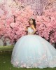 Sky Blue Quinceanera Dress Sleeveless Sweetheart Neck 15 Dresses With 3D Flowers