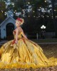 Sleeveless Gold Quinceanera Dress Lace Appliques Sweetheart Neck 15 Dresses