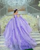 Sleeveless Lilac Quinceanera Dress Lace Appliques Sweetheart Neck 15 Dresses