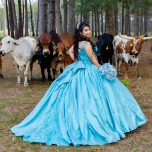 Sleeveless Tiffany Blue Quinceanera Dress V Neck Lace Appliques 15 Dresses With Bow