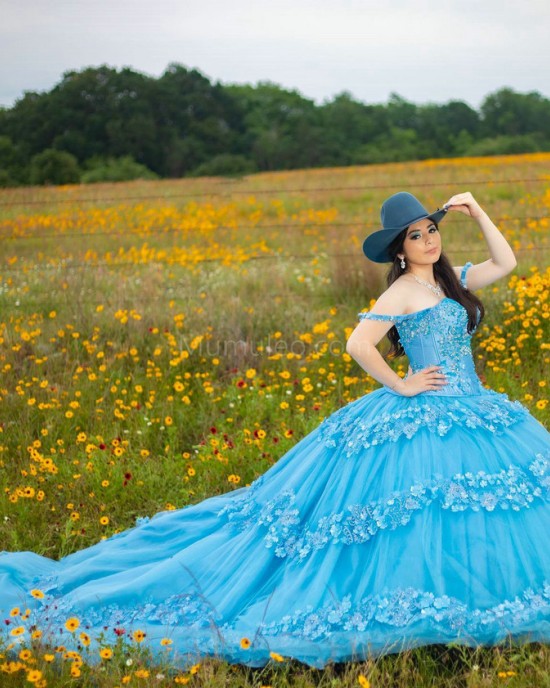 Spaghetti Strap Sky Blue Quinceanera Dress Sweetheart Neck 15 Dresses With 3D Flowers