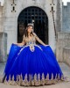 Sweetheart Neck Navy Blue Quinceanera Dress Lace Appliques Off Shoulder 15 Dresses