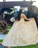 Champagne Sleeveless Quinceanera Dress Lace Appliques Sweetheart Neck 15 Dresses