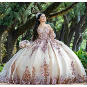 Detachable Champagne Quinceanera Dress Lace Appliques Sweetheart Neck 15 Dresses