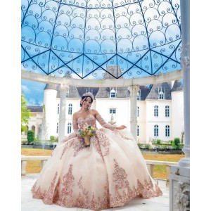 Detachable Rose Gold Quinceanera Dress Lace Appliques Off Shoulder 15 Dresses