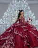 Long Sleeve Burgundy Quinceanera Dress Lace Appliques V Neck 15 Dresses