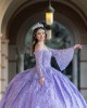 Long Sleeve Lilac Quinceanera Dress Metallic Sequin Sweetheart Neck 15 Dresses