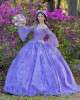 Long Sleeve Lilac Quinceanera Dress Metallic Sequin Sweetheart Neck 15 Dresses