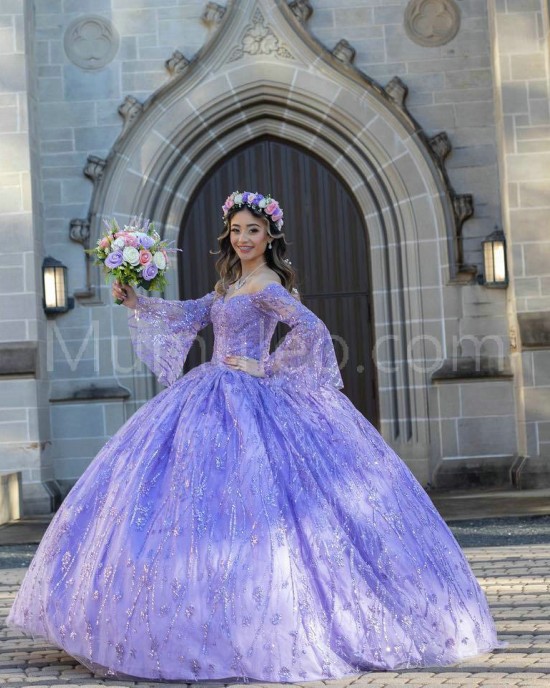 Long Sleeve Lilac Quinceanera Dress Metallic Sequin Sweetheart Neck 15 Dresses