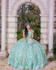 Off Shoulder Aqua Quinceanera Dress Sweetheart Neck 15 Dresses With 3D Flowers