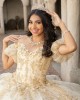 Off Shoulder Champagne Quinceanera Dress Metallic Sequin 15 Dresses With 3D Flower