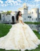 Off Shoulder Champagne Quinceanera Dress Metallic Sequin 15 Dresses With 3D Flower