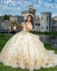 Off Shoulder Champagne Quinceanera Dress Metallic Sequin 15 Dresses With 3D Flower