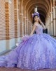 Off Shoulder Lilac Quinceanera Dress Sweetheart Neck Lace Appliques 15 Dresses