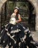 Sleeveless Black Quinceanera Dress Lace Appliques Sweetheart Neck 15 Dresses