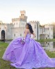 Sleeveless Lilac Quinceanera Dress Lace Appliques V Neck 15 Dresses