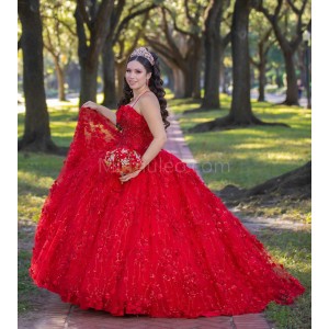 Sleeveless Red Quinceanera Dress Sweetheart Neck 15 Dresses With 3D Flowers