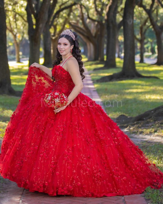 Sleeveless Red Quinceanera Dress Sweetheart Neck 15 Dresses With 3D Flowers