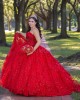 Sleeveless Red Quinceanera Dress Sweetheart Neck 15 Dresses With 3D Flowers