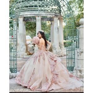 Sleeveless Rose Gold Quinceanera Dress Sweetheart Neck Metallic Sequin 15 Dresses