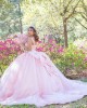 Spaghetti Strap Pink Quinceanera Dress Lace Appliques V Neck 15 Dresses With Bow