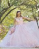 Spaghetti Strap Pink Quinceanera Dress Lace Appliques V Neck 15 Dresses With Bow