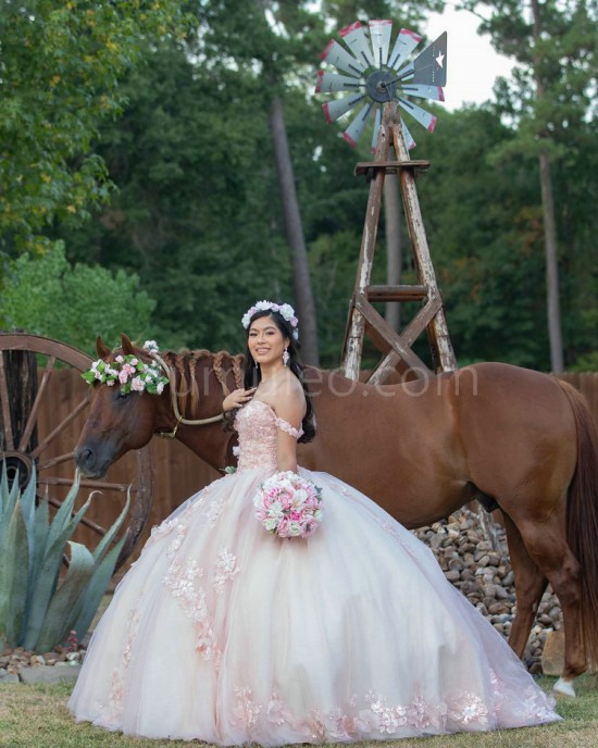 Sweetheart Neck Pink Quinceanera Dress Lace Appliques Sleeveless 15 Dresses