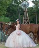 Sweetheart Neck Pink Quinceanera Dress Lace Appliques Sleeveless 15 Dresses