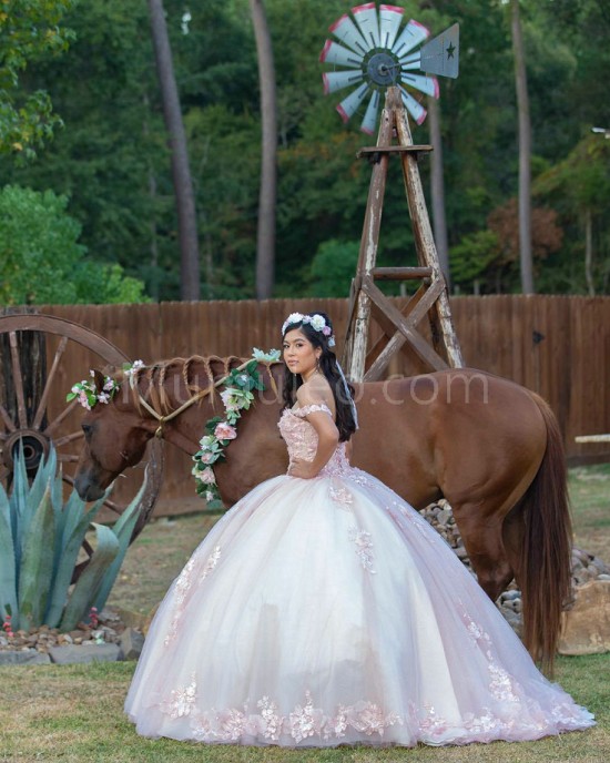 Sweetheart Neck Pink Quinceanera Dress Lace Appliques Sleeveless 15 Dresses