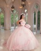 Sweetheart Neck Pink Quinceanera Dress Lace Appliques Sleeveless 15 Dresses